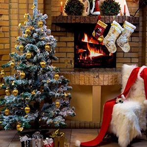 Buon Natale e un meraviglioso Anno Nuovo